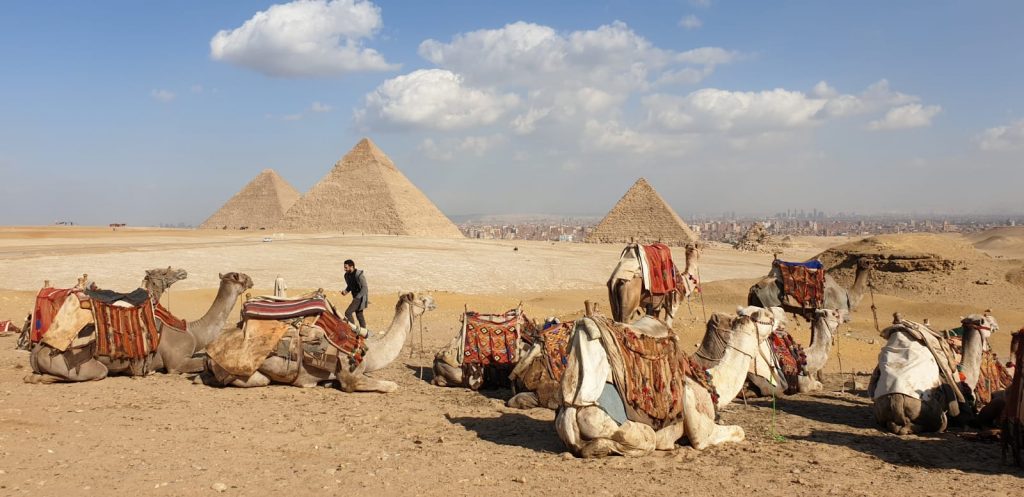 Panorama View for the three pyramids of Giza with camels
